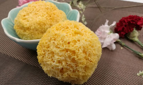 冬季菌菇最养人，这6种菌菇你千万别错过！