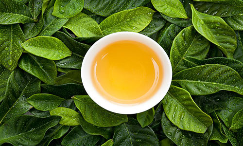 茶油的功效与作用2.jpg