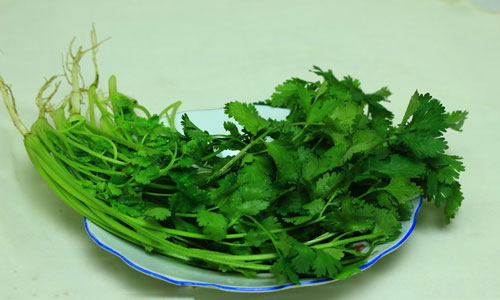 香菜的营养和价值.jpg