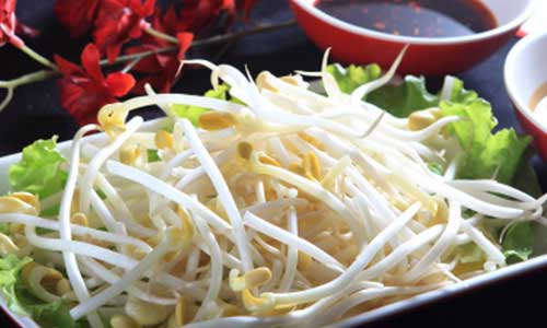 经常吃豆芽可以保健益寿