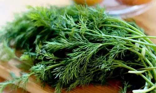 五类食物为老年人提供足够的钙质