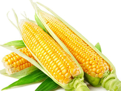 心血管病人吃什么好 9种食物让老年人更健康