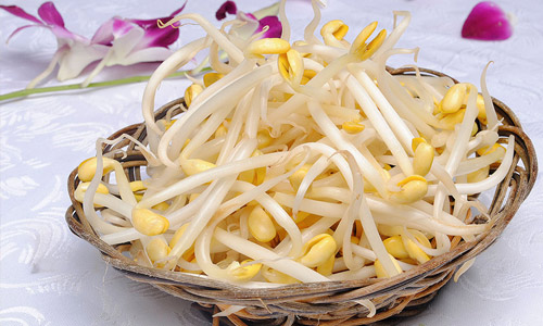 豆芽