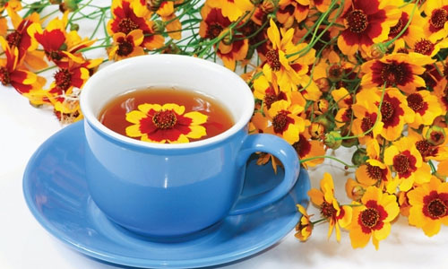 菊花茶的功效与禁忌