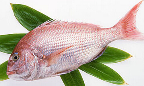 鳜鱼健脾养血 春夏之交吃3种鱼养生最佳