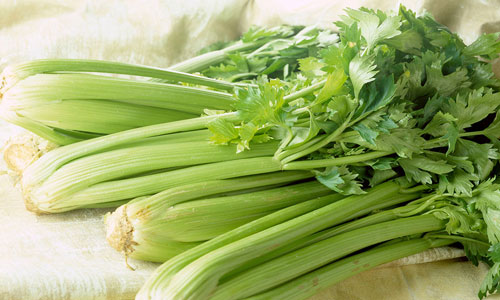 怎么吃芹菜能治病.jpg
