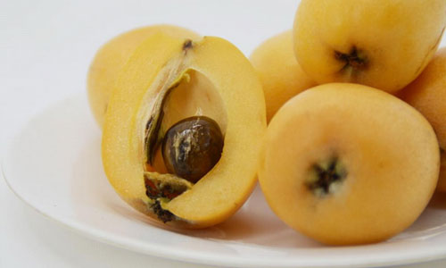 秋季清火吃什么食物好