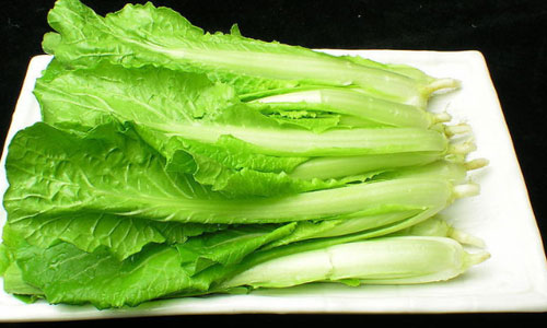 白菜