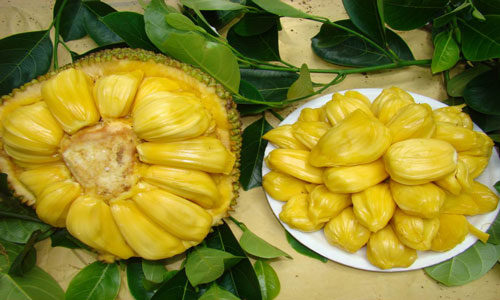 菠萝蜜的营养和价值.jpg