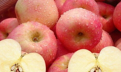 经常掉头发?食疗“白领病”你知道多少