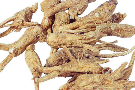 当归的功效与作用及食用方法