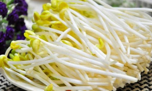你泡的黄豆为啥不发芽