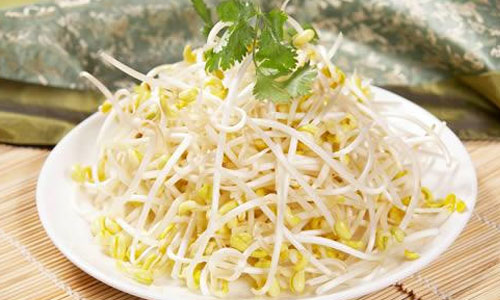 豆芽