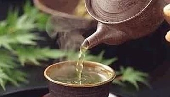 时下流行的凉茶配方