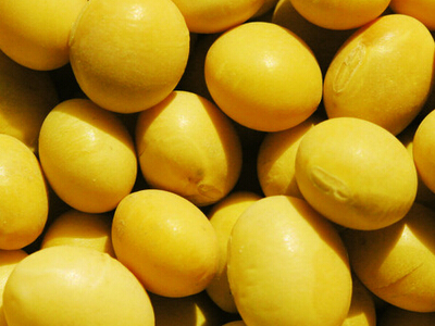 上班不困！带上10大提神食物陪你上班