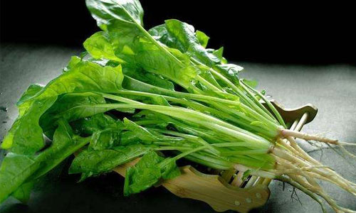 保护心脏吃什么食物较好