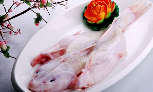 春季<a target=_blank href='http://www.ttys5.com/'><b>养生</b></a>要吃8种鱼