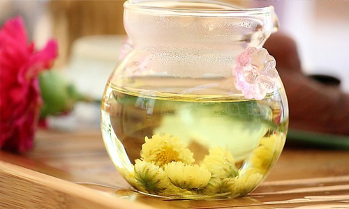 菊花茶怎么喝最好.jpg