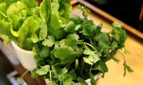 这些食物别和香菜一起吃.jpg