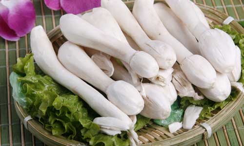餐桌上的营养好食材