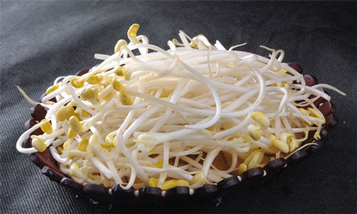 黄豆芽的食用禁忌.jpg