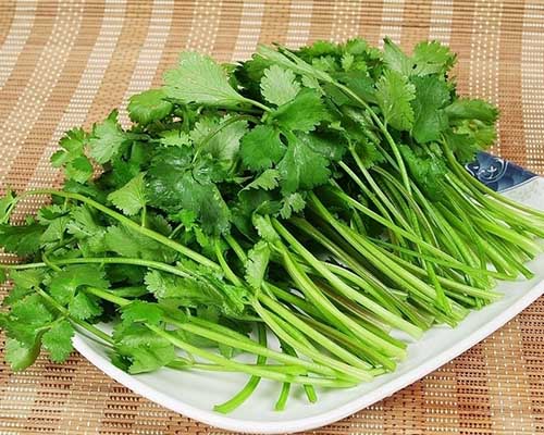 香菜可开胃富含维生素C
