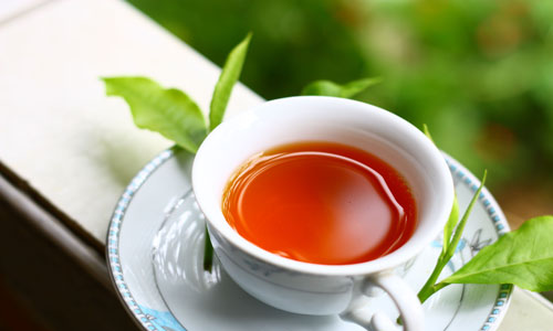 杜仲茶的营养和价值.jpg