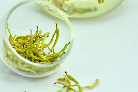清热解毒、凉散风热的金银花