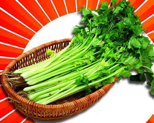 芹菜营养价值高可以降血压