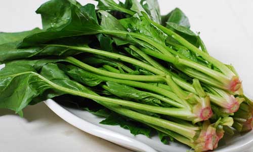 吃菠菜不要去掉红根