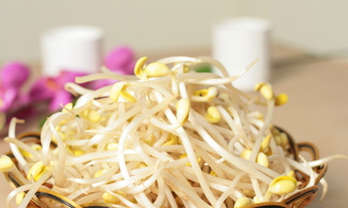 这个样子的豆芽绝对有毒.jpg
