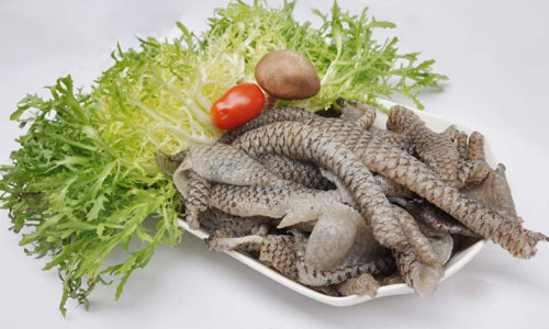 女人想补充胶原蛋白，多吃这些食物就对了