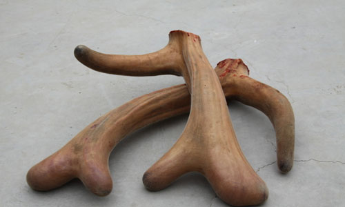 7种食物帮男人补肾养精.jpg