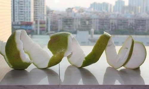 普通果皮菜根能治病
