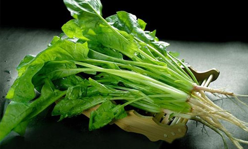 菜根也可以做药膳