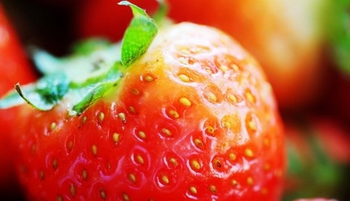 菌类食物给你补充丰富的营养