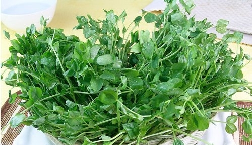 四类食物帮助女性远离乳腺疾病