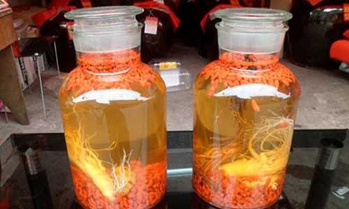 泡药酒用白酒还是黄酒好