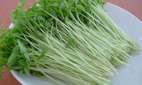 发芽后营养翻倍的食物