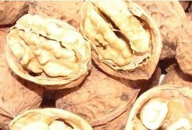核桃禁忌一次性大量食用
