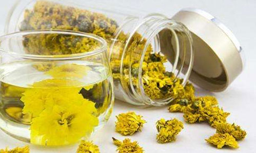 喝黄金菊花茶可降压缓解头痛