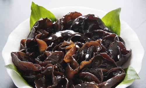 经济实用的女性黑木耳食疗良方