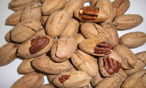 碧根果的食用指南.jpg