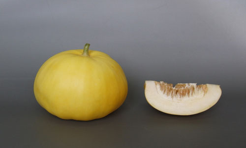香瓜的食用禁忌.jpg