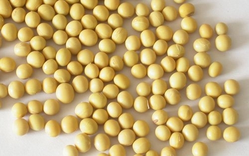 五谷都补铁食物有“替身”