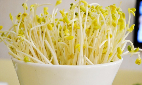 绿豆芽 补水润肤补维C.jpg
