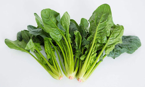 5种食物最护发 菠菜上榜