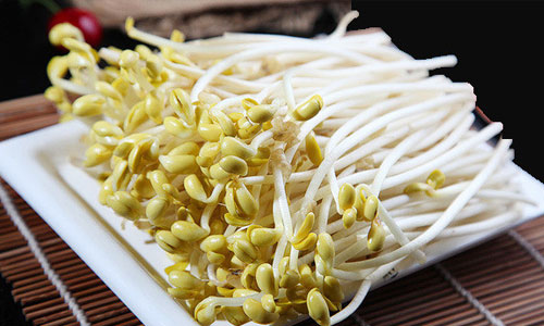 儿童多吃豆芽好处多.jpg