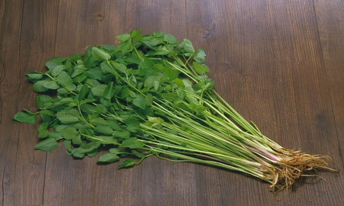 水芹菜的营养和价值1.jpg
