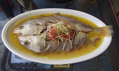 蚝油清蒸鱼怎么做.jpg